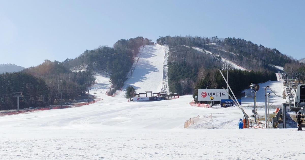 從龍平度假村山腳看雪場：正中一條白色雪道從山頂直直下來，兩側山坡是沒有積雪的樹林，右前方立著造雪機